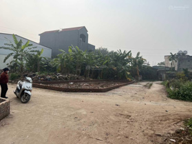 Chính chủ - bán 100m2 đất đấu giá - nhánh 2, xã Xuân Quang, H. Bảo Thắng, T. Lào Cai. Giá 750 triệu