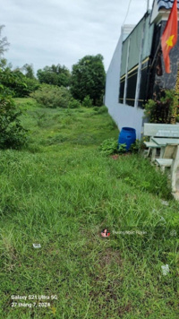 Bán gấp đất Đ. Cao Bá Quát, Phường 2, gần chợ Sa Đéc, Đồng Tháp 120m2 giá 500 triệu. Sổ Sẵn