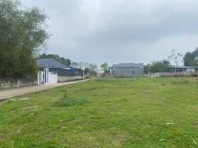 Bán gấp đất tại xã Đồng Tĩnh, Tam Dương, Vĩnh Phúc 480 triệu VND, 125m2