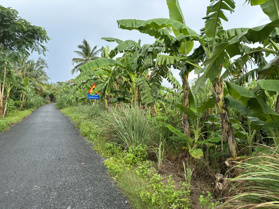 Bán đất mặt tiền đường Nguyễn Thị Định, Lai Hiếu, Tp Ngã Bảy, Hậu Giáng