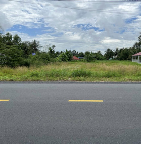 Bán đất tại Quốc lộ 1A, 3,5 tỷ, 3000m2 đẹp, nhiều tiện ích
