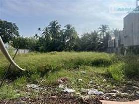 Chill với mảnh đất cực chất, nằm trên Tỉnh Lộ 852, Tân Quy Tây, Sa Đéc, Đồng Tháp