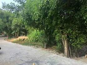 Gia đình ra nước ngoài cần bán gấp đất ở Tân Quy Tây, Sa Đéc, Đồng Tháp