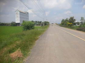 Bán rẻ 4.170m2 đất Gò Công Tiền Giang,mặt tiền đường tỉnh 872B nhựa,có 2.000m2 thổ,sổ riêng 6,65 tỷ