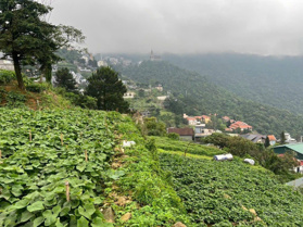 Bán đất BT nghỉ dưỡng 500m2 x 16,5m mặt tiền, 2 mặt đường tại Thị trấn Tam Đảo, Vĩnh Phúc