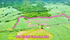 Hạ giá bán nhanh đất vườn Sơn Hòa, Phú Yên mặt tiền Quốc Lộ chỉ 3,360 tỉ