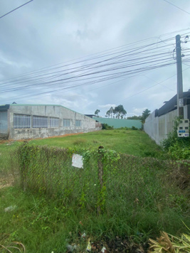 Bán đất tại Xã Gia Lộc, Trảng Bàng, Tây Ninh, giá cực chất 360tr, 157m2