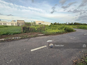 Bán 75m2 đất có thổ, ngay KCN Sông Hậu, Tân Thành, Lai Vung, Đồng Tháp