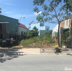 Bán nhanh đất mặt tiền 100m2 /SHR. Đường Lê Anh Xuân, Lấp Vò, Đồng Tháp