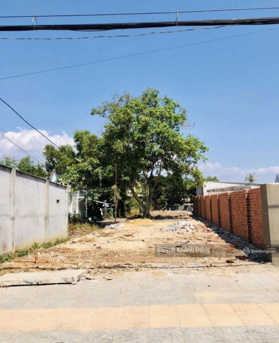 Cần bán gấp đất gần chợ Đầu Mối Đồng Tháp MTĐ. Quốc Lộ 30, Mỹ Hiệp Cao Lãnh Đồng Tháp 120m2 SHR