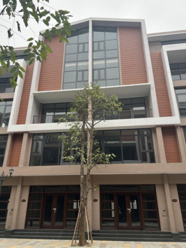 Bán gấp BT 80m2 tại Vinhomes Ocean Park 3, 10 tỷ, 125 triệu/m2, Siêu rẻ, ưu đãi siêu khủng