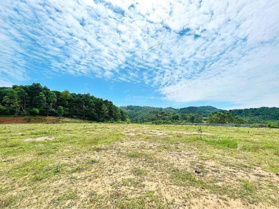 Bán lô đất 2,4 ha c sổ đỏ tại Thanh Cao, Ngọc Thanh, Phúc Yên, Vĩnh Phúc cạnh Thung Lũng Thanh Xuân