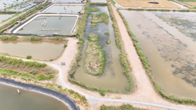 Bán đất đầm tại Tân Phú Đông diện tích 4200m2, chỉ có giá 500tr cả lô đất