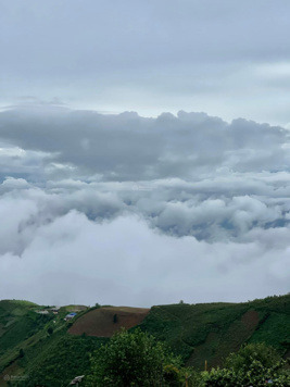 Bán Nhanh giúp dân gần 1Ha - Giá 500tr. View Thung Lũng Mây Gần khu HomeStay Lớn.
