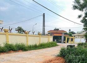 Bán đất nền 135m2 tại Xã Hướng Đạo, Tam Dương, Vĩnh Phúc, giá siêu hời 750 triệu