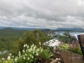 Cho thuê đất view thung lũng thông xanh Trần Quang Diệu. Thích hợp làm cafe-caping, lưu trú cao cấp