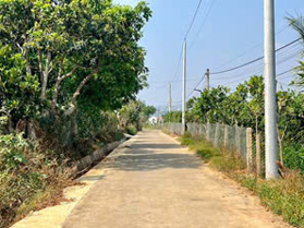 Đất Đông Thanh - ven Đà Lạt mặt tiền bê tông to đùng