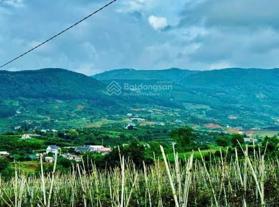 Bán gấp lô đất view hồ Đông Thanh, full thổ cư cách nhựa chỉ 500m