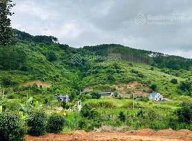 300m2 đất ven Đà Lạt sẵn thổ cư view đồi thông xanh mát giáp suối lớn