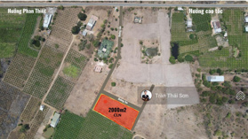 Đất Bình Thuận, chỉ từ 350tr/ Sổ hồng, đất đẹp trung tâm đô thị