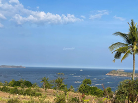 Hàng hiểm tại Sông Cầu view trọn Vịnh Xuân Đài đất thổ cư sổ hồng sang tên ngay