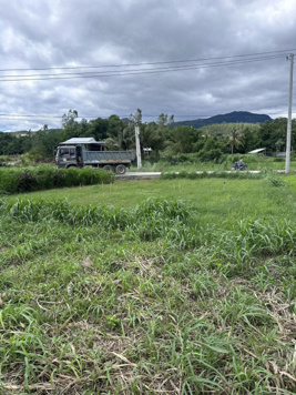 Bán mảnh đất qh thổ mặt đường bê tông lớn giáp suối tiện làm nhà vườn .