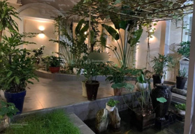 Cho thuê nhà nguyên căn 34/7F Trần Khánh Dư, Phường Tân Định, Quận 1 (lộ giới 7m)