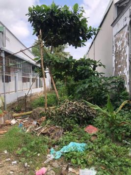 Bán đất thổ cư hẻm 3 Nguyễn Việt Dũng- Lê Bình- Cần Thơ- 5,4x24, nở hậu, sổ hồng, cấp phép chính