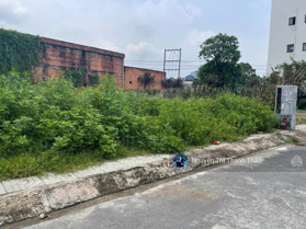 Sở hữu lô đất 120m2, Đ. Lò Rèn gần chợ Phường 5 TP Bạc Liêu, SHR đất thổ cư