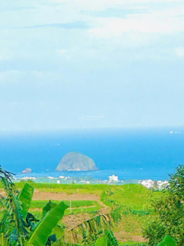 Kẹt tiền cần bán 3000m2 đất view biển An Thọ, Tuy An, Phú Yên giá 550tr thích hợp làm nghĩ dưỡng