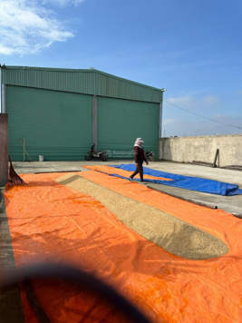 Cho thuê xưởng tổng đất 800 mét xưởng 300 mét, giá chỉ 13 triệu/tháng