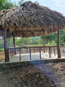 Đất mặt tiền đường nhựa có sẵn vườn thị trấn Kim Long, huyện Châu Đức, tỉnh BRVT