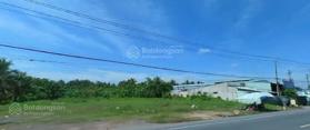 Bán đất MT 120m2 Đ. QL53, Long An, Long Hồ, Vĩnh Long. SHR, thổ cư 100%