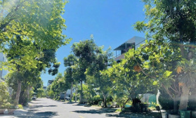 Cập nhật giỏ hàng đường 7m5 tại KĐT Nam Việt Á cho Khách lựa chọn - Mạnh Nam Việt Á