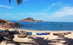 CHo thuê 2ha đất có bãi biển. 50 triệu/tháng. Làm khu cắm trại, cà phê, nhà hàng. 0868 427 900