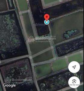 Hạ giá bán gấp đất nông nghiệp tại xã Vĩnh Hậu, Huyện Hòa Bình, Bạc Liêu