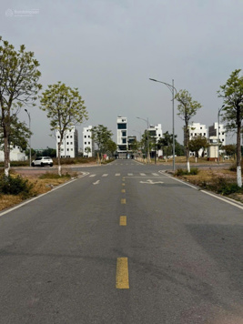 Bán lô LK11.x khu Trần Hưng Đạo TPHD, DT:101m2, MT:5.0m hướng đông nhìn chếch sang công viên C.xanh