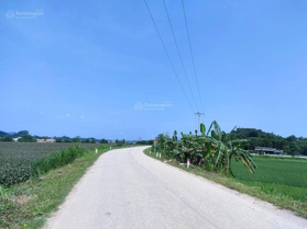 Chính chủ cần đất sổ đỏ full thổ cư mặt đường Tỉnh lộ (mặt đê UBND Xã Hợp Nhất)