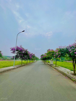 Duy nhất lô đất giáp chợ TT Hưng Hóa - đường rộng - nằm sát QL32 - đã có sổ - LH: 0974 555 771