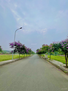 Cắt lỗ lô đất 85m2 tại Hưng Hóa Rivercity - Tam Nông Phú Thọ - đã có sổ riêng - LH: 0974 555 771
