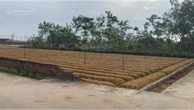 Bán mảnh đất 500m2 tại Lương Tài - Bắc Ninh