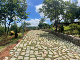 Chính chủ cho thuê vườn hồng đang thu hoạch diện tích 10.000m2 trung tâm đồi chè Cầu Đất