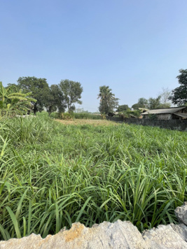 Bán đất tại Xã Tu Vũ, Thanh Thủy, Phú Thọ, giá tốt, view đẹp, 586m2