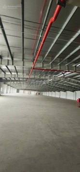 Cho thuê nhà xưởng linh kiện điện tử 24.000m2 tại KCN Đồng Văn, Hà Nam.