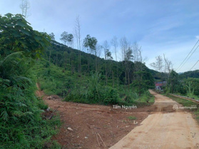 26 hecta bám đường bê tông thông-dưới chân đồi bám Suối nước chảy quanh năm, đất nạc phù hợp trồng