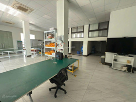 Cho thuê gấp văn phòng 450m2, 50 triệu tại Lý Anh Tông, Võ Cường, Bắc Ninh