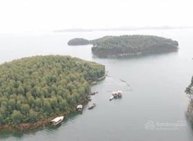 Bán quả đảo 2,6ha vị trí đắc địa có đường điện tại hồ Thác Bà, Yên Bái