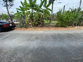 Nền đẹp giá tốt đường nhựa, xã Tân Hạnh, H Long Hồ gần Cầu Kho, chợ Hàn thẻ