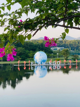 Bán Bugalow đáng yêu nhất Flamingo, vài bước ra hồ lớn, không gian hưởng thụ tuyệt đỉnh 300m, 3.1tỷ