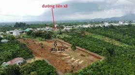 Bán đất thổ cư tại xã Lộc An, huyện Bảo Lâm